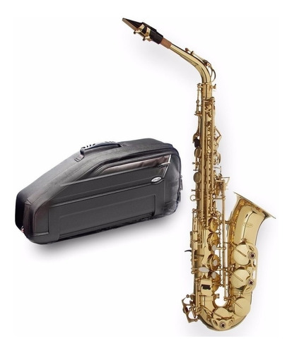 Saxo Alto Stagg De Estudio  Eb  Llave F Estuche Wsas215s