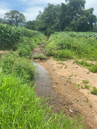 Oportunidad De Inversión En Chiapas: Rancho De 10 Hectáreas Con Documentación Al Día Y Plusvalía En Crecimiento