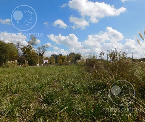 Imagen 1 de 12 de Venta - Lote - Terreno En Remanso - Exaltacion De La Cruz