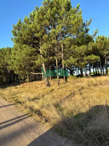 Terrenos En Venta Financiados Últimos En Montes De Solymar