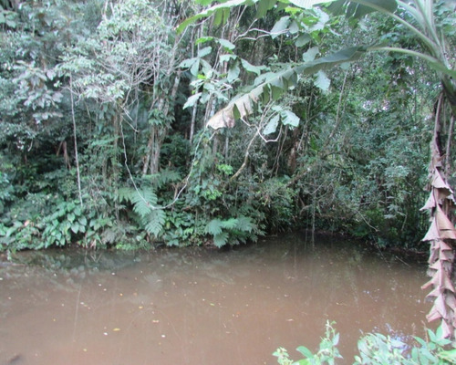Imagem 2 de 21 de Terreno - 04611 - 33229241