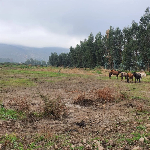 Terreno Construccion  En Venta En San Fernando