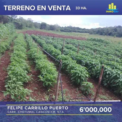 Terreno en venta