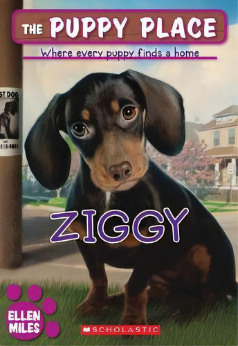 Ziggy, De Ellen Miles. Editorial Scholastic Us, Tapa Blanda En Inglés