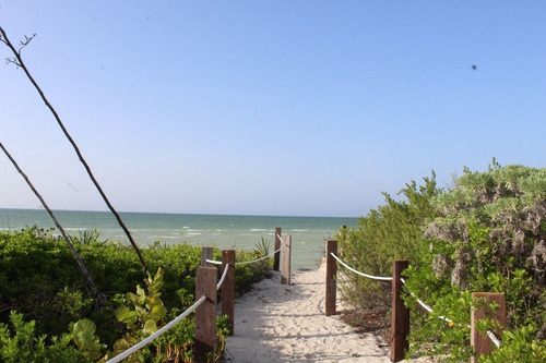 Departamento En Venta Ubicado En Telchac Puerto, Yucatán
