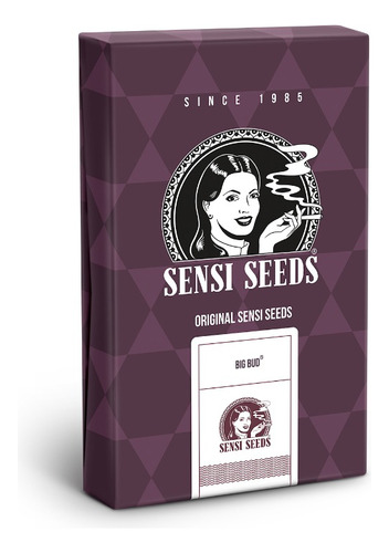 Semillas De Colección Auto. Big Bud (3) Sensi Seeds