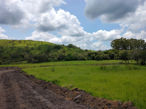 Imagem 16 de 22 de J.v Lotes De 1000 Metros Por 40 Mil À Vista Em Votorantim