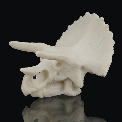 Decoración De Acuario De Resina Cráneo De Triceratops