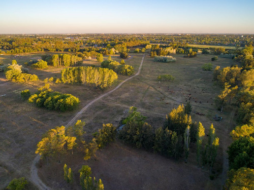 Lote En Venta Con Financiacion En Azzurra Tortugas