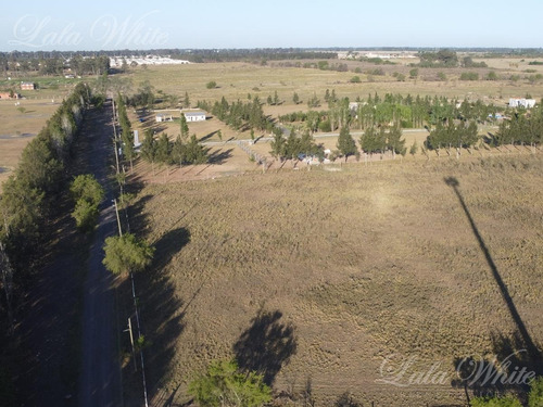 Imagen 9 de 10 de Venta - 7 Hectáreas En Canning