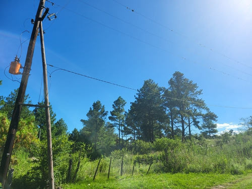 Imagen 1 de 7 de Vendo Terrenos En Yacanto