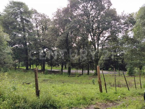 Imagen 10 de 10 de Terreno En Venta Escriturado En Huitzilac Morelos