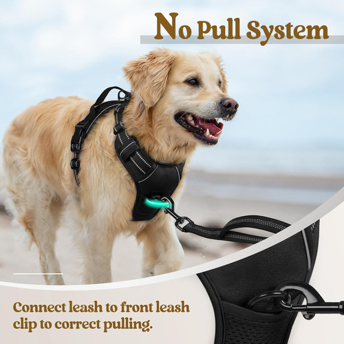 Arnes Para Perro Rabbitgoo No Pull Ajustable Con 2 Clips L