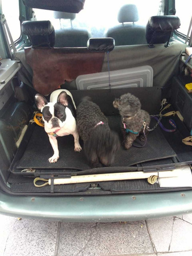 Imagen 4 de 10 de Guardería Y Pensión Canina El Perrito Rojo