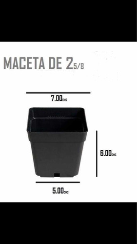 Maceta Cuadrada 2 5/8 50 Piezas