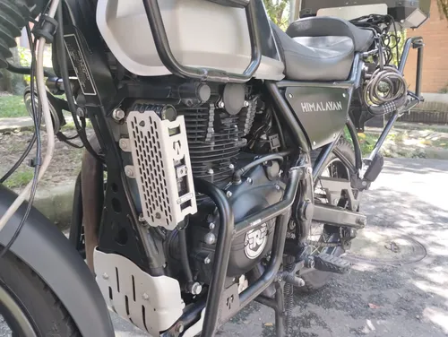 Royal Himalayan En Un Exce Estado Único Dueño De Agencia