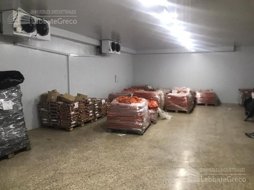 Imagen 9 de 15 de Nave Industrial - Villa Lynch