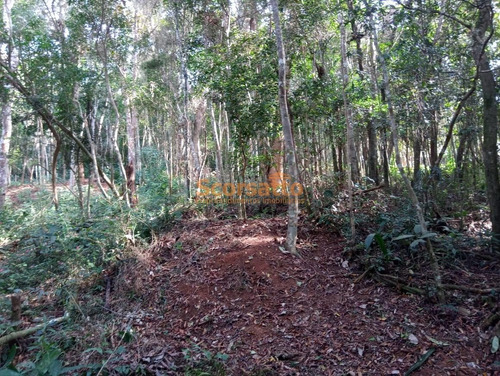 Imagem 4 de 4 de Terreno À Venda, Parque Yara Cecy, Itapecerica Da Serra/sp. - 5899