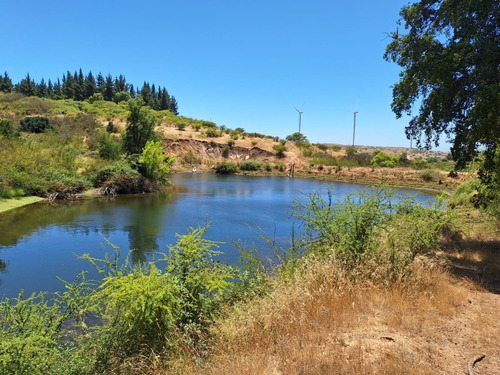 Se Vende Campo En Litueche Con 5 Tranques Y 2 Vertientes