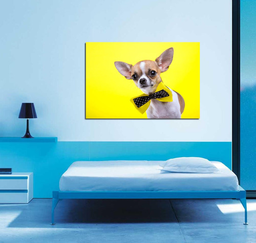 Cuadro Canvas Chiguagua Moño Amarillo Galan Funny Perro