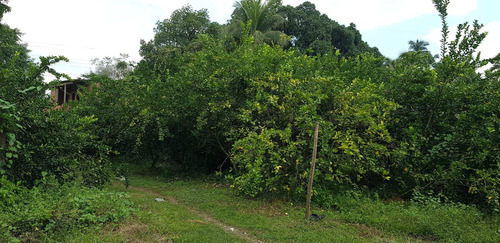 Imagem 29 de 30 de Chácara Em Parque Capivari, Duque De Caxias/rj De 100000m² 2 Quartos À Venda Por R$ 500.000,00 - Ch596274-s