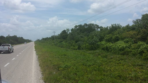 Imagen 11 de 15 de Increíble Lote En Venta Con 270 M Lineales De Laguna De Bacalar C1314