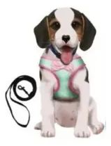 Comprar Arnes Pechera Perros Arneses Mascotas Pequeña Talla Xs 73511