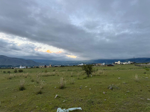 Terreno En La Almudena