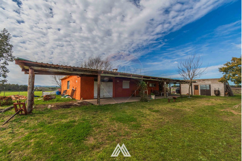 Se Vende Campo De 13ha. Con Casa En Paso Arbelo