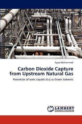 Carbon Dioxide Capture From Upstream Natural Gas - Ayyaz ...