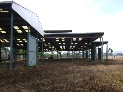 Imagen 6 de 10 de Terreno Con Estructura Para Galpones Industriales