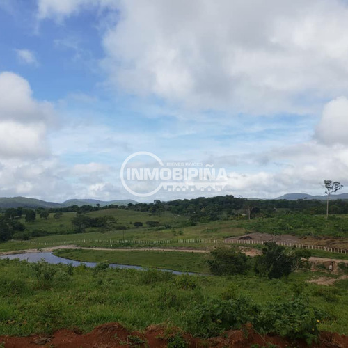 Finca En Venta Zona El Palmar, Estado Bolivar Fl