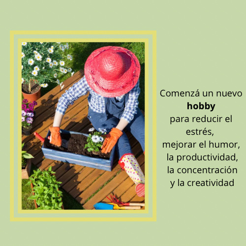 Combo Semillas Flores Variadas Mix Jardín +100