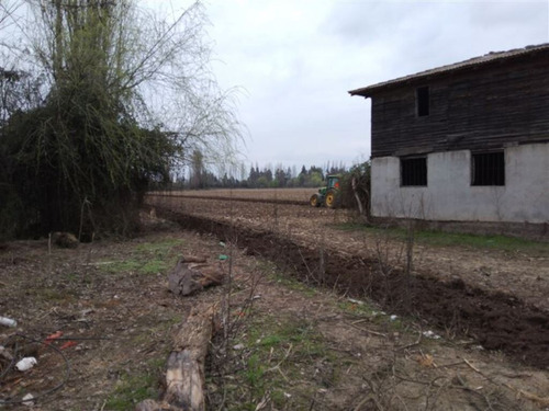 Sector Pencahue| (74921)