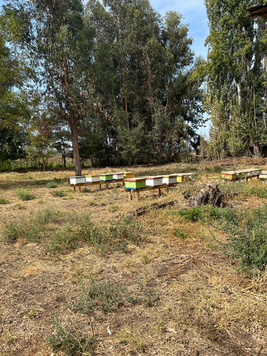 Casa De 170mt2 Aprox Contruidos 4200mt2 De Terreno, Se Vende