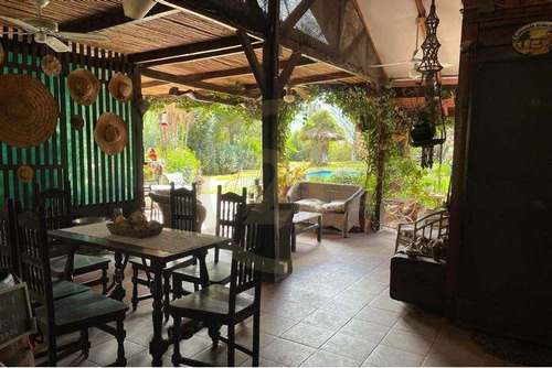 Oportunidad Venta De Campo, Viñedos - Curacaví