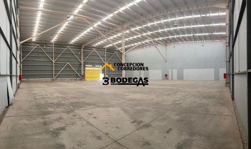 Arriendo Bodega De 1616 M2 En Pi Lo Boza.