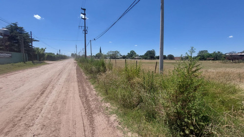 Terreno Venta Navarro, Provincia De Buenos Aires