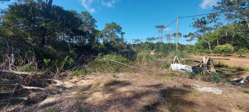 Imagen 15 de 28 de Vendo 1 O 2 Lotes De 584 M2 En Punta Del Diablo