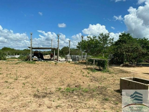 Imagem 3 de 10 de Granja A Venda Em Macaíba