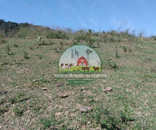 Imagem 14 de 29 de Fazenda Medindo 103 Alqueires Paulista No Vale Do Ribeira Sp Ref.: 0372