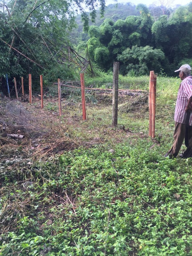 Imagen 5 de 7 de Finca En Venta En Guarico