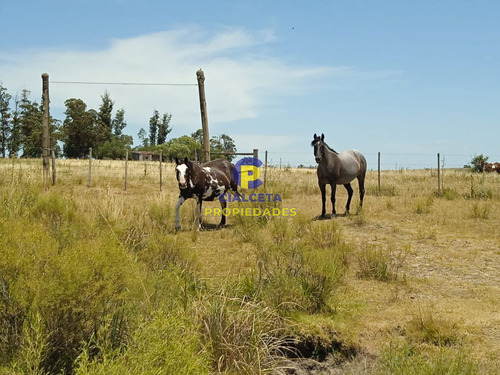 23 Hectáreas En Lavalleja Con Arroyo