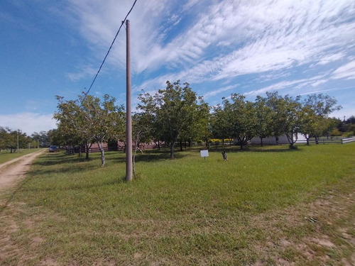 Imagen 3 de 6 de Lote Residencial En Costa Nogales