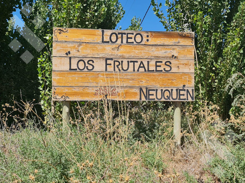 Terreno B° Los Frutales, Neuquen