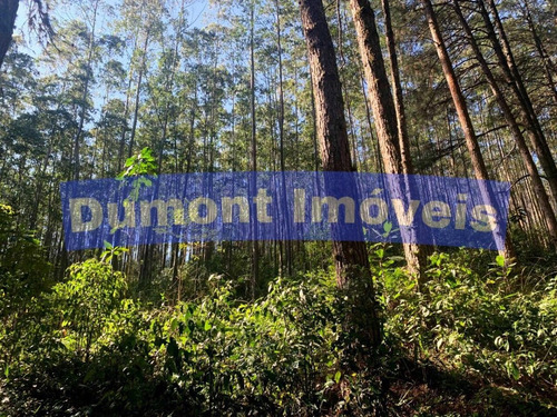 Imagem 9 de 14 de Maravilhosa Área Com 378.700m² Em Ibiúna/sp Cód. 552