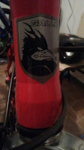Gallo Bike