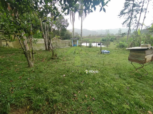 Imagem 5 de 27 de Chácara Com 4 Dorms, Recanto Do Tesouro, Embu-guaçu - R$ 220 Mil, Cod: 2328 - V2328