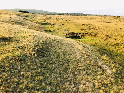 Oportunidad Venta - Chacra En Garzon
