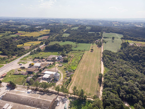 Imagem 12 de 17 de Terreno/ Área 20.000m² A Venda Em Araucária Pr. - Te00002 - 68828711